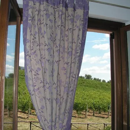 Lejlighed Casali Del Toppello Mantignana