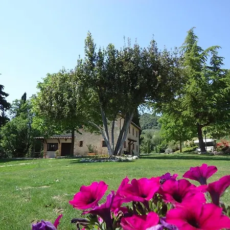 Casali Del Toppello Apartamento Mantignana